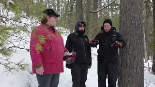 Lost Twin Lakes Pathway  - Winter Hike (Roscommon County, Michigan)