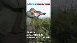 Airgun Arrow Rabbit Hunt #airgun #hunting #airbow #airbolt