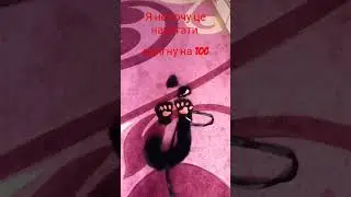 12 травня 2024 р.