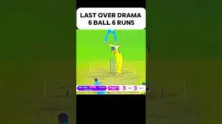 india vs australia #shorts #cricket #viral #series