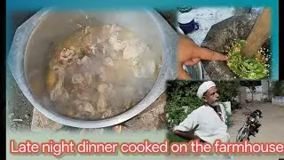 Late night dinner cooked on the Farmhouse | Night stay on the Farmhouse with friends #viral 