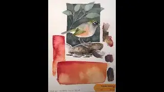 8 Review/test Saunders Waterford 300 lb cold press, high white watercolor paper