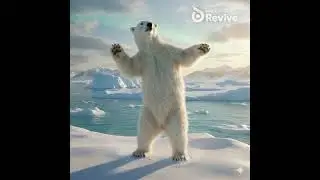 oso canta y baila mejor que Michael Jackson #music #80smusic #mj