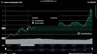Hedera Hashgraph  HBAR  - Hedera Hashgraph to USD Chart - HBAR Price Live Data