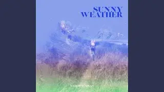 Sunny Weather