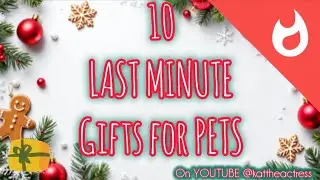 10 LAST MINUTE Gifts for Pets!!!|AMAZON|CHRISTMAS 