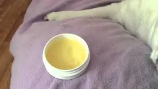 Pure Pets Nose Balm