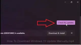 How To Download Windows 11 Update Manually