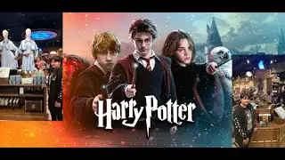 Harry Potter Shop Chicago - Vlog