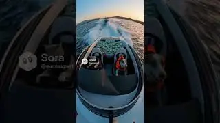 Perros y gatos en el mar en una lancha