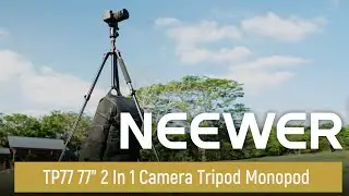 Представляем штатив-монопод NEEWER TP77 77 дюймов, модель 2 в 1 для фотоаппаратов.