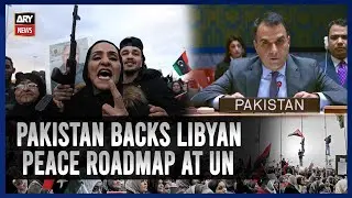 Pakistan Backs Libyan Peace Roadmap at UN