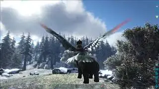 Ark Adventures: Pig Taming