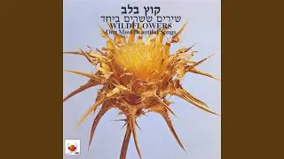 יצאנו אט