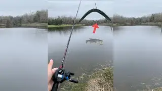 Catching MULTIPLE fish in the EXACT same spot w/ a Wacky Worm! (Spring Bass Fishing)