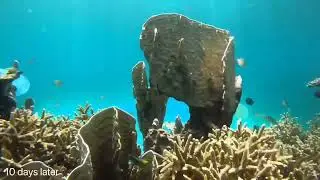 捡来的破渔网经过简单的改造竟然能收获这么多鱼，真是意外收获
