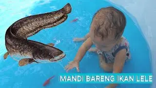 IKANNYA DIOBOK OBOK | Mandi Bareng Ikan |