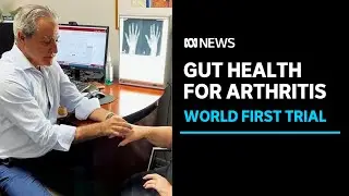 Queensland scientists focus on gut health to treat debilitating rheumatoid arthritis | ABC News