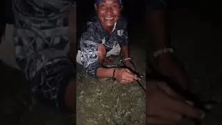 Night fish