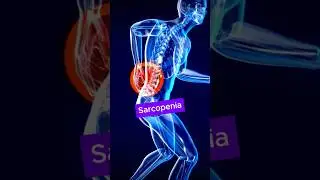 Top 10 Foods to Fight Sarcopenia Muscle Loss After 50  #seniorhealth #nutritiontips #healthyfoods