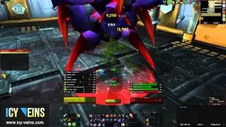 Brawler's Guild - Ixx (Rank 3)