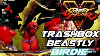 SFV AE ▰ TrashBox Epic Birdie Compilation ➥ SEASON 4!