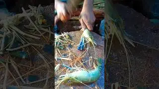 Shrimp Fish Cutting Skills #shorts #collection