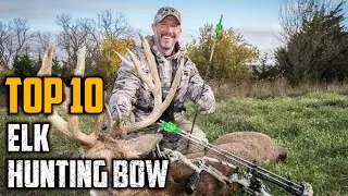Top 10 Best Elk Hunting Bow In 2025
