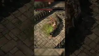 SHIELD WALL good??? #pathofexile2 #poe2 #gaming