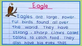 Essay On Eagle | english essay on eagle | write essay on eagle in english | eagle essay english