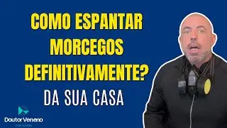 COMO SE LIVRAR DOS MORCEGOS ( O Que N&atilde;o Funciona ) #controledepragas