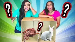 O QUE TEM NA CAIXA 2???