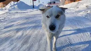 05-06.02.2026 Сборник Набережная реки Амур и улицы города 