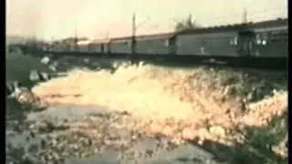 Treni FS  anni 