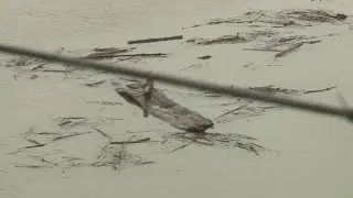 Heavy rain hits western Washington