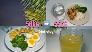 Menuju 55 kg | What I Eat In A Day | Diet vlogs