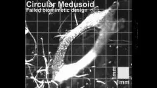 Failure of a biomimetic Medusoid design to propel itself (nbt.2269-S3)