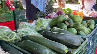 Agro mercado del MAG