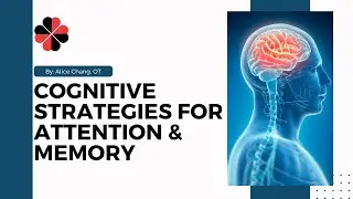 Cognitive Strategies for Attention and Memory