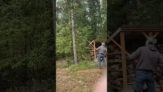 Echo Pole Saw