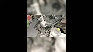 Water Accumulation in fuel filter TOYOTA HI-LUX