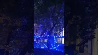 Vidyut bhawan decoration, Diwali-25
