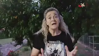 Cane impazzisce quando incontra altri cani al guinzaglio?
