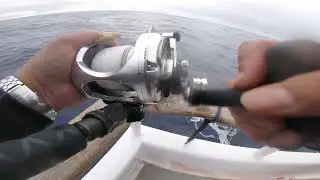 Excel Sportfishing Yellowtail Alijos Rock