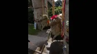 Stra&szlig;endeko Erntefest Buschhausen 2016