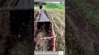 Hard Working Day #245 PE Mulch Film Extrusion Process For Pharmaceutical