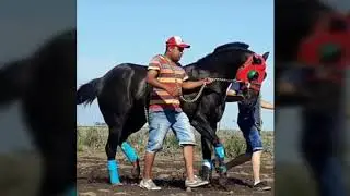 Video dedicado a Jacinto desde Metan-Salta (AMERICANO VIEJO NOMASS)