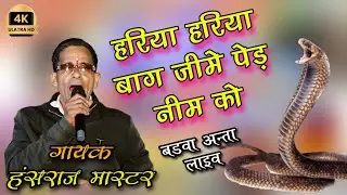 हरिया हरिया बाग जीमे पेड़ नीम को || बडवा अन्ता लाइव || हंसराज मास्टर || arvind music chhabra
