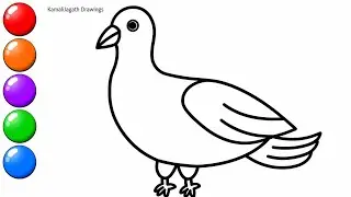 Dove easy drawing || How to Draw a Dove easy step by step || Simple Dove easy Drawing Colouring