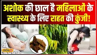 Ashoka Tree Benefits: महिलाओं के लिए चमत्कारी है इस पेड़ की छाल! मिलेंगे कई फायदे| Periods #local18